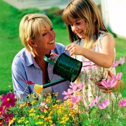 Laimingas sodas - netikėtumų įvairovė - sėklos, kurias gali auginti vaikai - 