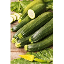 Zucchino - Zuboda - 16 semi - Cucurbita pepo