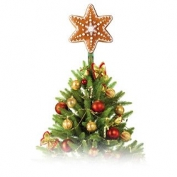 Conjunto de estrela de gengibre para árvore de Natal - DELÍCIA - 