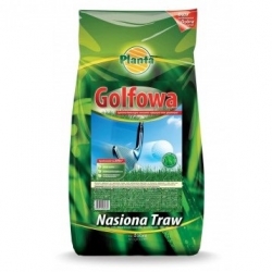 Grama de gramado de golfe - resistente ao uso pesado e corte próximo - Planta - 15 kg - por 600 m² - 