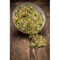 Sprouting seeds - Mineral Mix