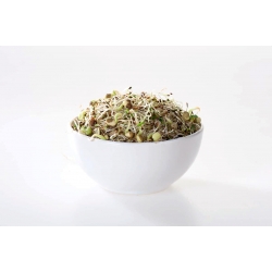 Sprouting seeds - Health and Beauty mix