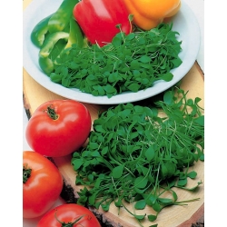 Hạt nảy mầm - Hạt giống thông thường; bèo tấm, ít hogweed, rau câu - 