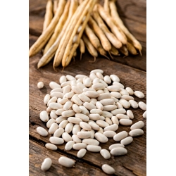Bean Pearl (Perelka) - kuivade seemnete jaoks - 