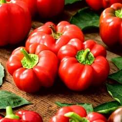 Punane tomatipipar Olenka - lamestatud ja ribidega puuvili - 