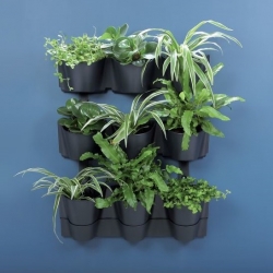 Vasos de parede para cultivo de plantas em cascata - jardim vertical - Parede em cascata - cinza antracite - 