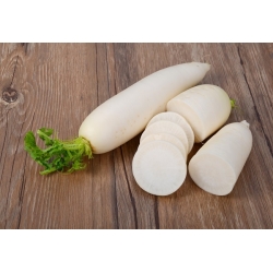White radish Agata - summer variety with elongated roots - SEED TAPE