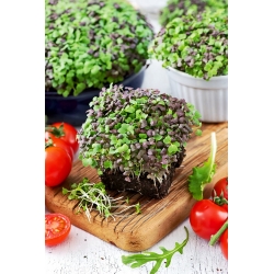 Microgreens - Mizuna - folhas jovens com sabor único - 1 kg - 