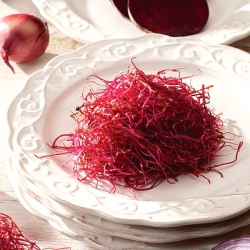 BIO Sprouting seeds with a small sprouter - Red beetroot - certified organic seeds