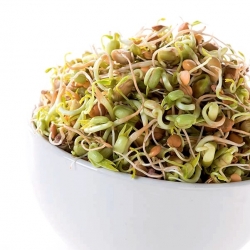 Sprouting seeds with a small sprouter - Fitness Mix