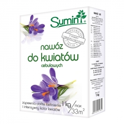 Buah Sumin mentol bunga dengan makro dan mikronutrien - 1 kg - 