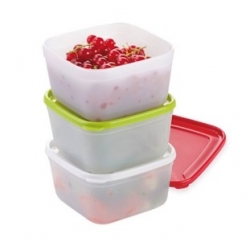 Healthy freezer boxes - PURITY - 0.5 l - 3 pcs