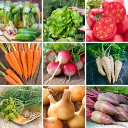 Ekstra veliki set - 9 biljaka povrća, zbirka provjerenih, pouzdanih sorti - 