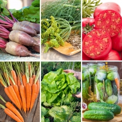 Veliki set - 6 biljaka povrća, zbirka provjerenih, pouzdanih sorti - 