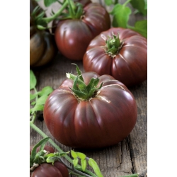 Tomate - Negro de Crimea - Lycopersicon esculentum Mill  - semillas