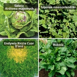 Groenten voor plantenbakken - selectie van zaden van 4 plantensoorten - 