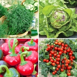 Balcony vegetables - seeds of 4 plant varieties