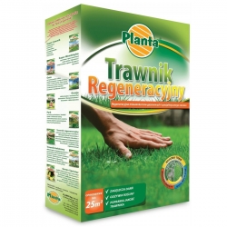 Rejuvenated lawn - repairing a damaged or abandoned lawn - Planta - 5 kg - for 125 m²