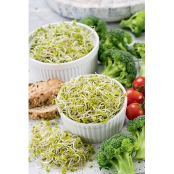 Broccoli spruiten - Brassica oleracea - zaden