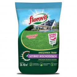 Fast growing grass - super fast lawn! - Florovit - 5kg seeds