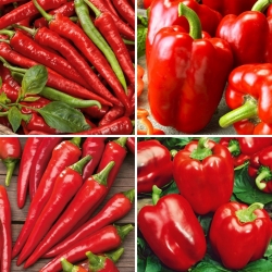 Semená papriky (paprika) - výber zo 4 odrôd - 