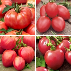 Vadelma tomaatin siemenet - valikoima 4 lajiketta - 