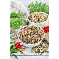Sėklos daiginimui - Aštrus ridikėlių mišinys - 100 g sėklų (Raphanus sativus)
