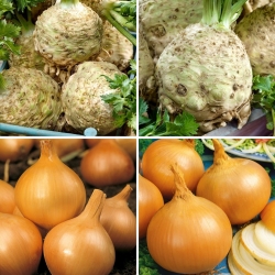 Onion and celeriac seeds - selection of 4 varieties