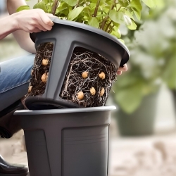 Bulvių auginimo vazonas su lengvai gumbų pašalinimo funkcijomis - ø 30 cm - 