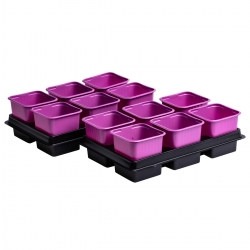 Pink 8 x 8 cm square nursery pot - 12 pieces + two trays