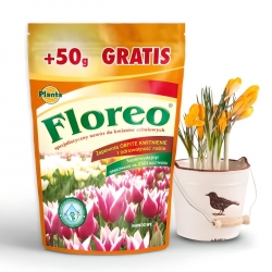 Floreo - Fertilizante planta profesional de bulbo de flores - 250 g - 
