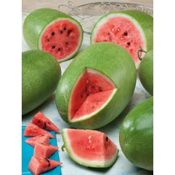 Charleston Gray watermelon