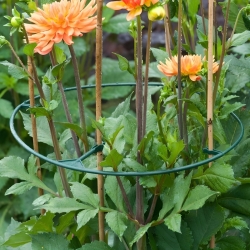 Кольца для поддержки растений - ø30 - 40 см - 3 шт. - 