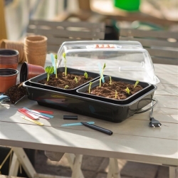 Mini seră încălzită cu termostat - ideală pentru plante germinante - 19 x 38 x 24 cm - 