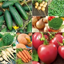 ABC-ul grădinarului: Grădină de legume de la zero - set de 10 pachete de semințe