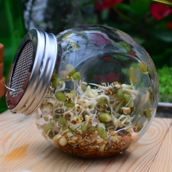 Jar sprouter - wadah tumbuh 400 ml - 6 pcs + HADIAH GRATIS - 