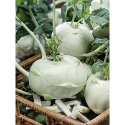 Кольрабі "Луна" - білий сорт для раннього врожаю - 260 насінин - Brassica oleracea var. Gongylodes L. - насіння