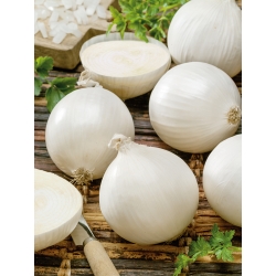 Бял лук "Авалон" - 750 семена - Allium cepa L.