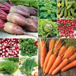 Geschmack der Natur - Gemüse für Kenner - Set mit 10 Packungen Gemüsesamen