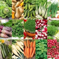 Sabor de la Naturaleza - Verduras para el conocedor - 15 paquetes de semillas