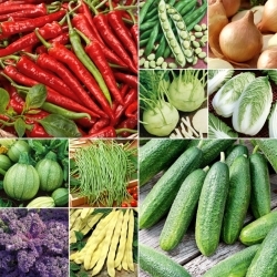 Zelenjavni zakladi: Za odličen začetek - Set 10 vrečk semena