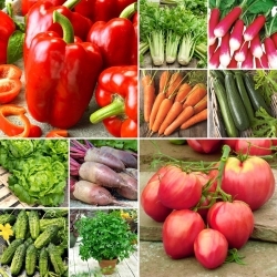 Zöldségkezdő készlet - 10 zöldségmag csomaggal