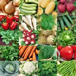 Nem start: Dine første grøntsager - 20 frøpakker