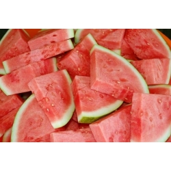 Watermelon Rosario seeds - Citrullus Lanatus - 11 seeds