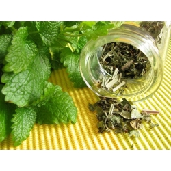 Tea Afternoon Herb Mix seeds