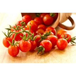 Tomato Idyll seeds - Lycopersicon lycopersicum - 80 seeds