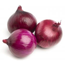 Red Onion seeds - Allium cepa - 450 seeds