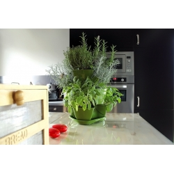 Vaso per erbe - Coubi - Set da 3 pezzi - Bianco - 