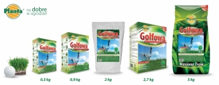 Rumput rumput golf - tahan terhadap penggunaan berat dan pemotongan dekat - Planta - 2 kg - 