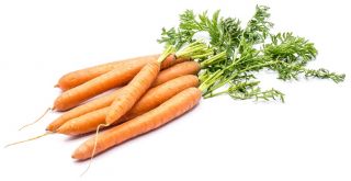 Carrot "Eskimo F1" - late variety